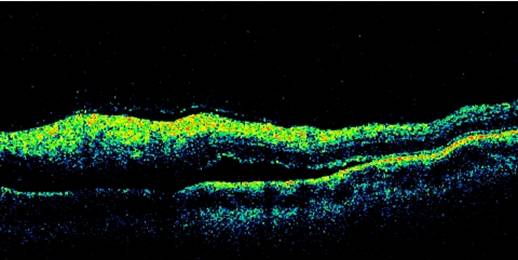 Int J Med Sci Image