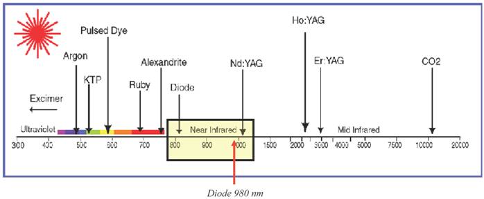 Int J Med Sci Image