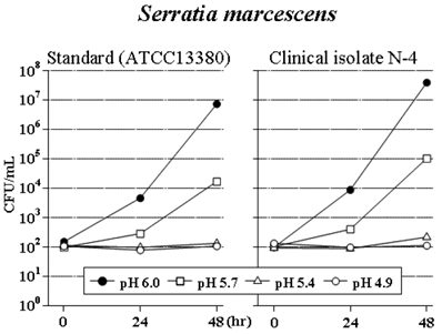 Int J Med Sci Image