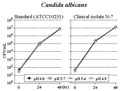 Int J Med Sci Image