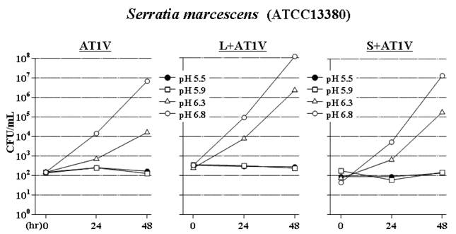 Int J Med Sci Image