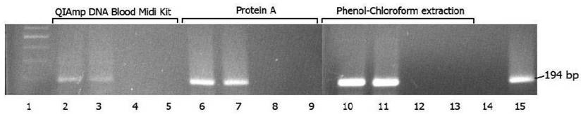 Int J Med Sci Image