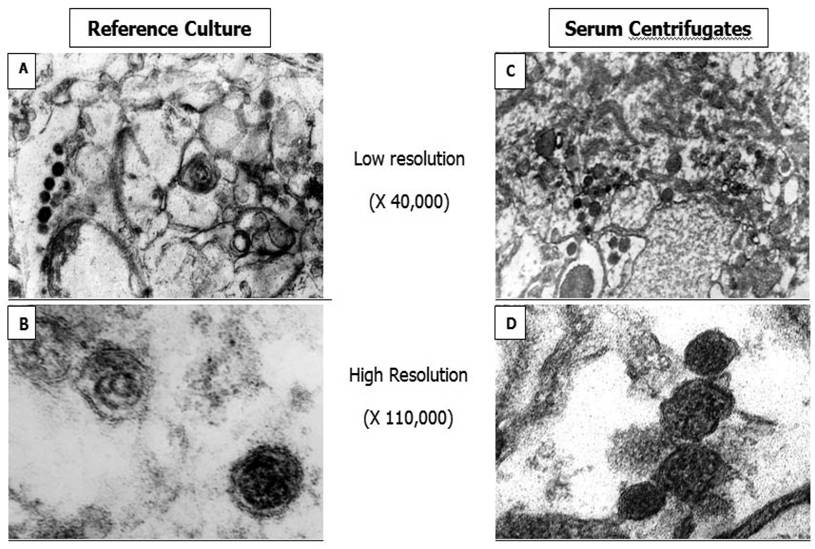 Int J Med Sci Image