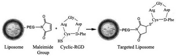 Int J Med Sci Image