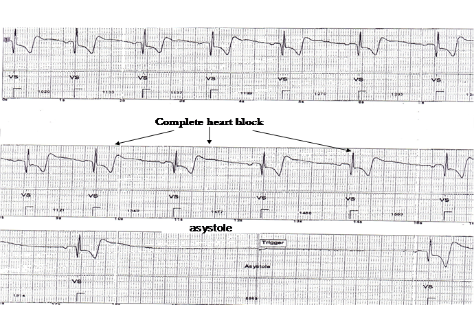 Int J Med Sci Image