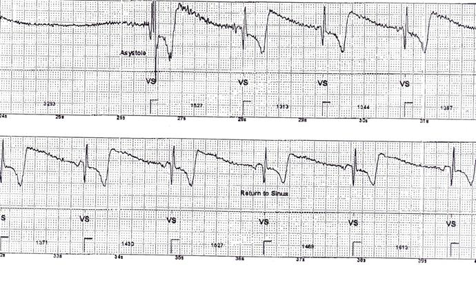 Int J Med Sci Image