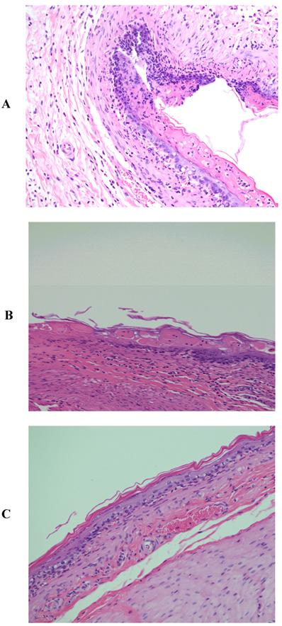 Int J Med Sci Image