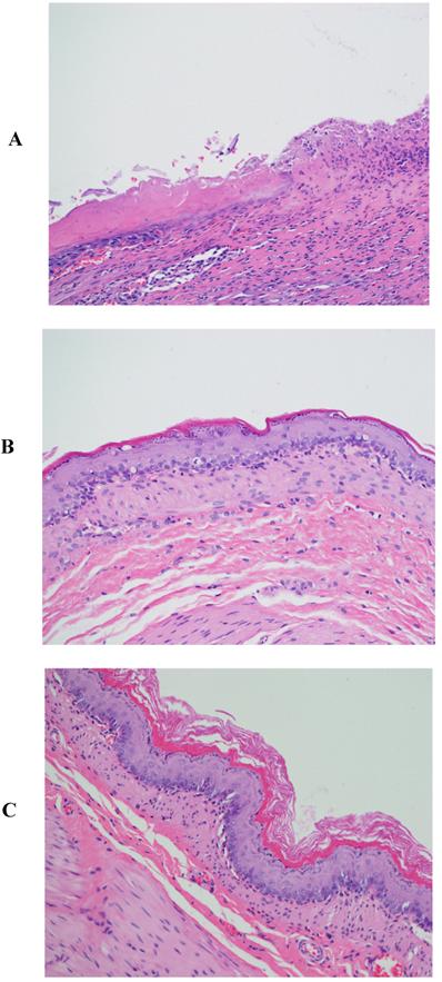 Int J Med Sci Image