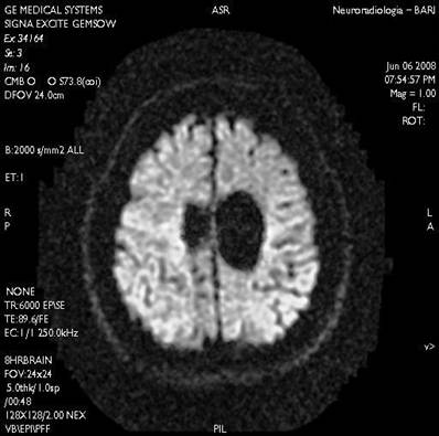 Int J Med Sci Image