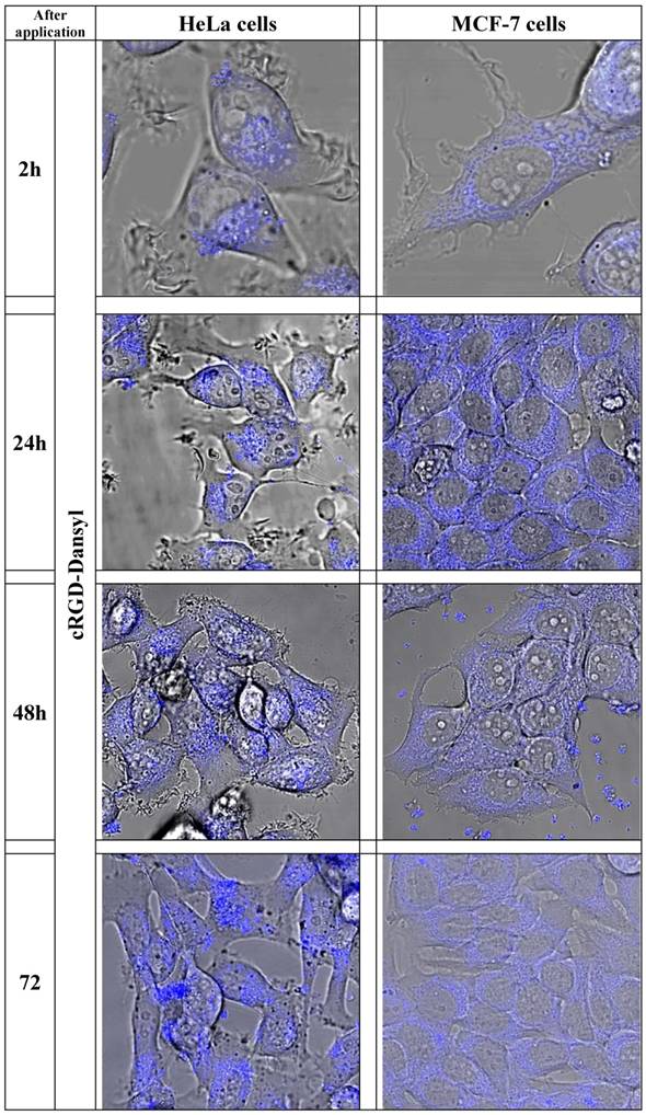 Int J Med Sci Image