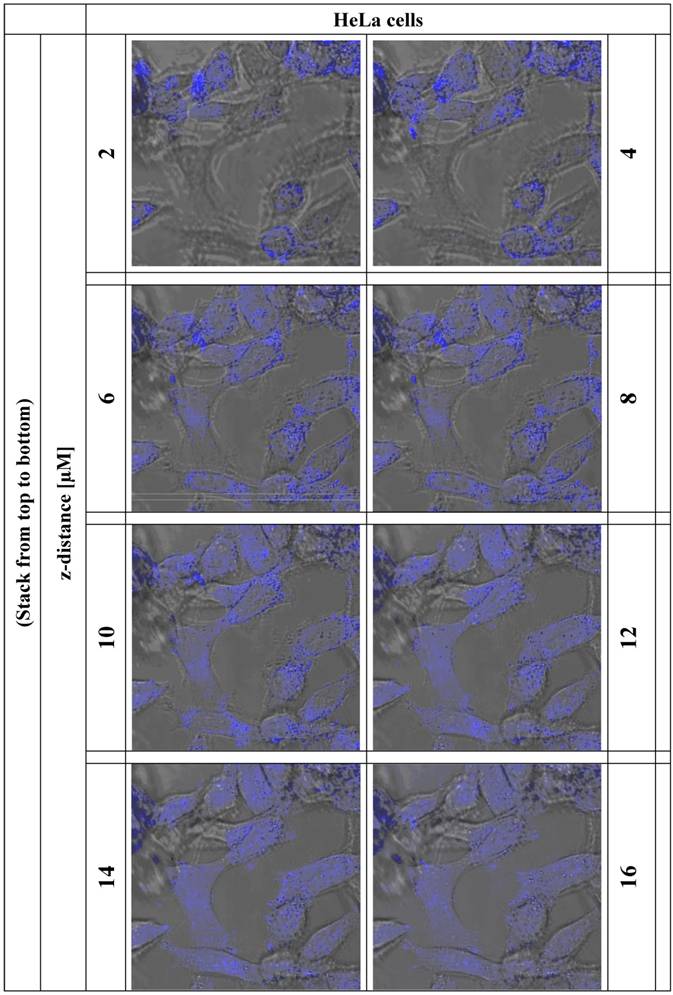 Int J Med Sci Image