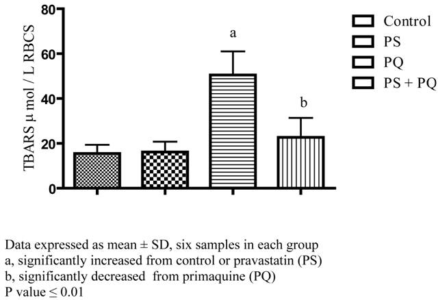 Int J Med Sci Image