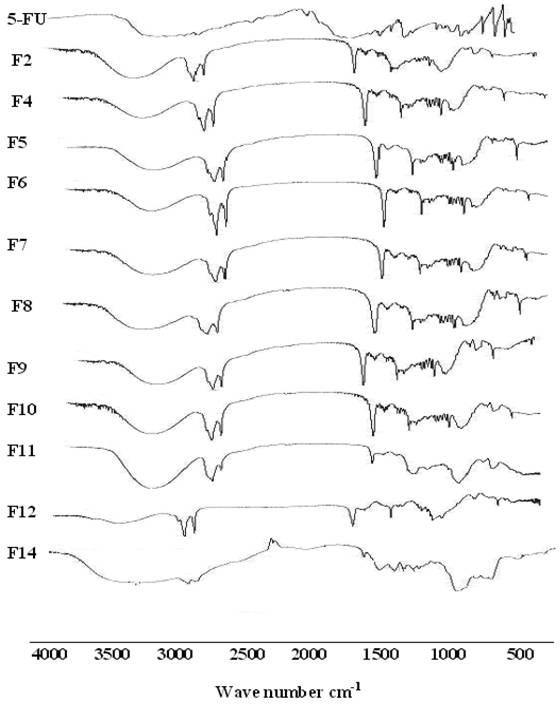 Int J Med Sci Image