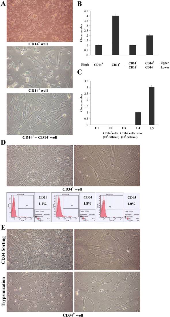 Int J Med Sci Image