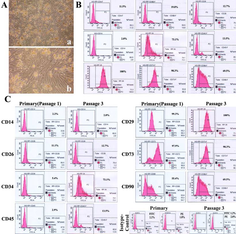 Int J Med Sci Image