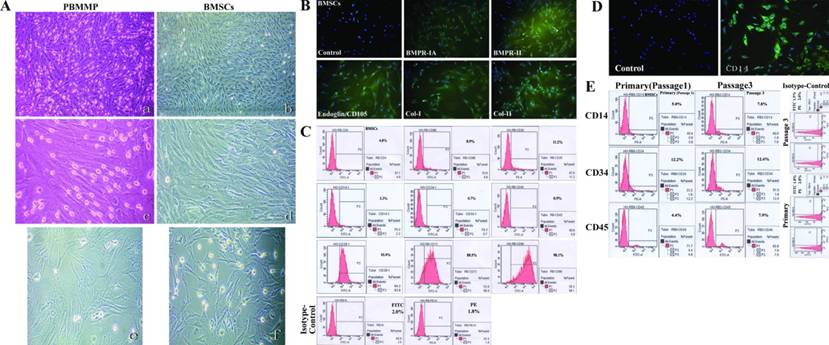 Int J Med Sci Image