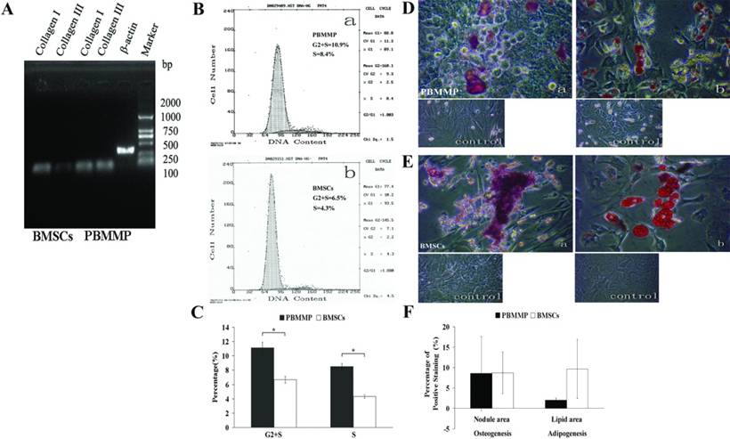 Int J Med Sci Image