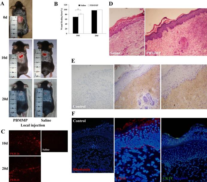 Int J Med Sci Image