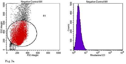 Int J Med Sci Image