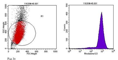 Int J Med Sci Image