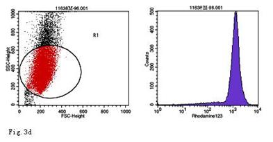 Int J Med Sci Image