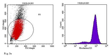 Int J Med Sci Image