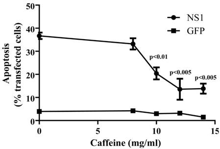 Int J Med Sci Image