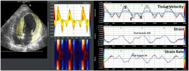 Int J Med Sci Image