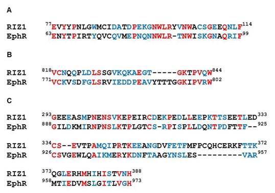 Int J Med Sci Image