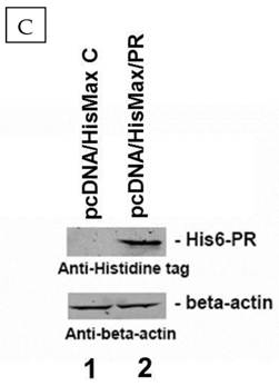 Int J Med Sci Image