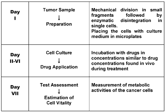 Int J Med Sci Image