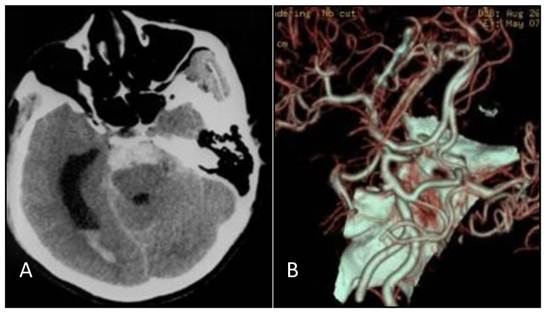 Int J Med Sci Image