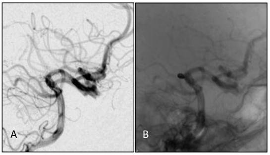 Int J Med Sci Image