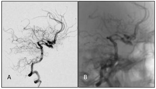 Int J Med Sci Image