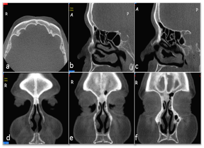 Int J Med Sci Image