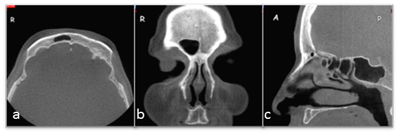 Int J Med Sci Image