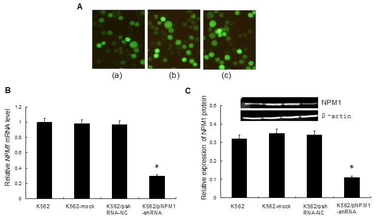 Int J Med Sci Image