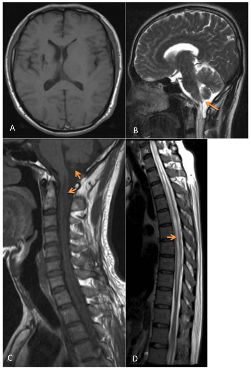 Int J Med Sci Image