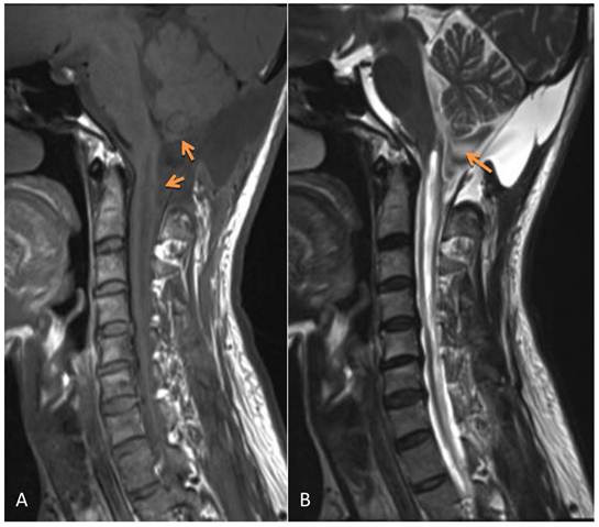 Int J Med Sci Image