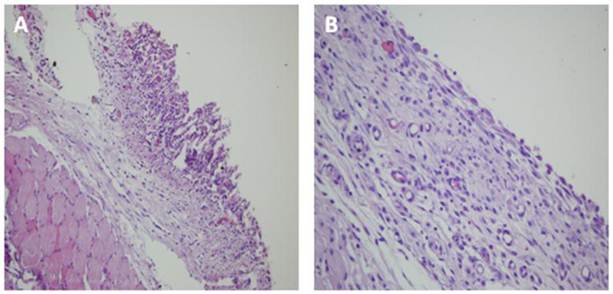 Int J Med Sci Image