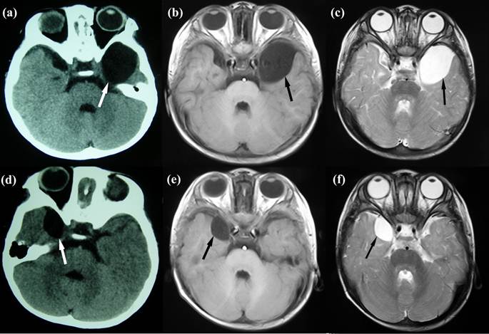 Int J Med Sci Image