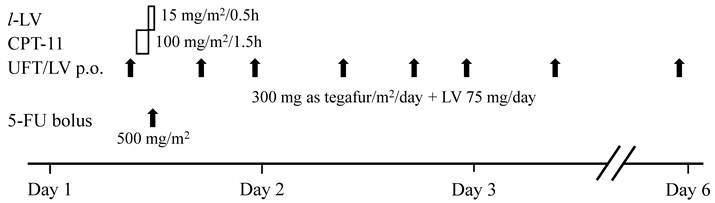 Int J Med Sci Image