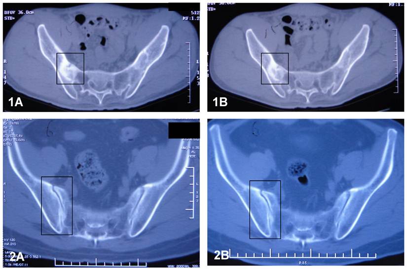 Int J Med Sci Image