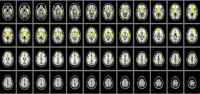 Int J Med Sci Image