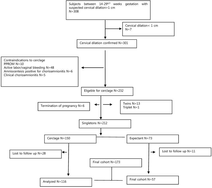 Int J Med Sci Image