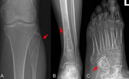 Int J Med Sci Image
