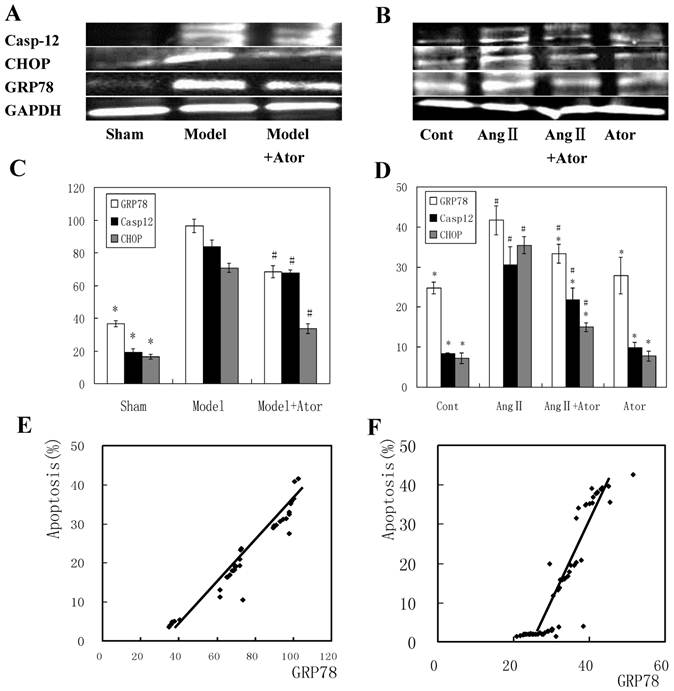 Int J Med Sci Image