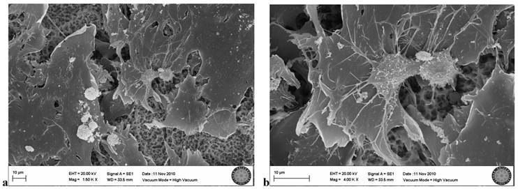 Int J Med Sci Image