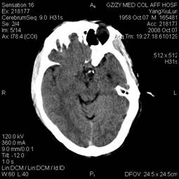 Int J Med Sci Image