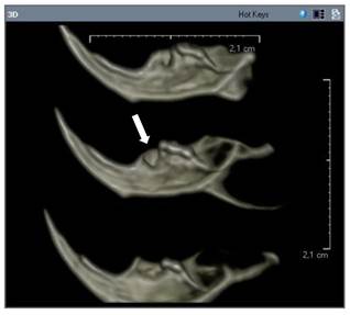 Int J Med Sci Image